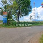 Dijual tanah luas 6.670 m² di Sobo Banyuwangi tepi jalan utama. Cocok untuk sawah dan pertanian produktif. SHM, lokasi strategis dekat kota.