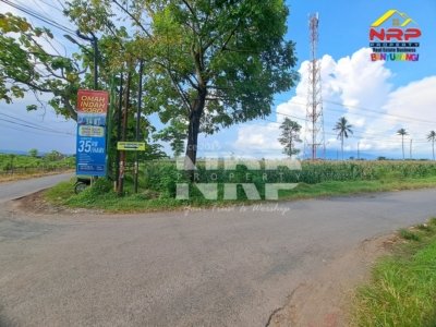 Dijual tanah luas 6.670 m² di Sobo Banyuwangi tepi jalan utama. Cocok untuk sawah dan pertanian produktif. SHM, lokasi strategis dekat kota.