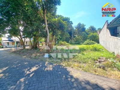 Dijual Tanah SHM 400 m² di Lokasi Premium Banyuwangi, Dekat Hotel, Ketapang & Pusat Kota